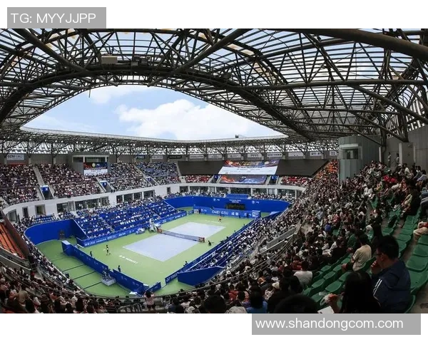 成都网球队的训练与比赛节奏解析助力青少年网球发展